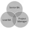 The Role of the Business Lead in a Project image 0